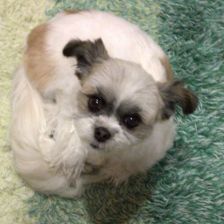 12920112 dee1 4c93 9f58 3982b2a3caa1