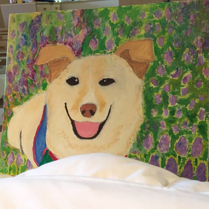 12925998 9f9f 4541 9ed0 6dd8f18ca2ce