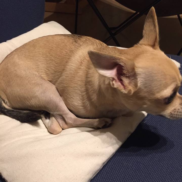 12926ed5 0179 459b b856 636b2182f588