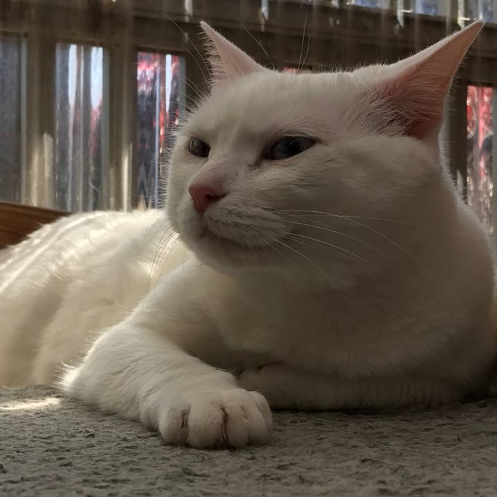 12927c20 1f72 4b5e 888c 595aef65411d