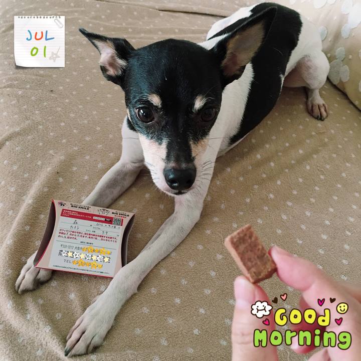 12928550 df91 4d9f bdd5 b8ab683fb263