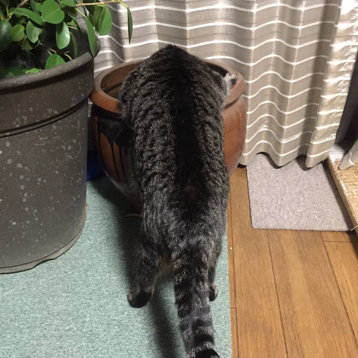 1292cc90 045f 4f02 a8c4 29e8b580b7e7