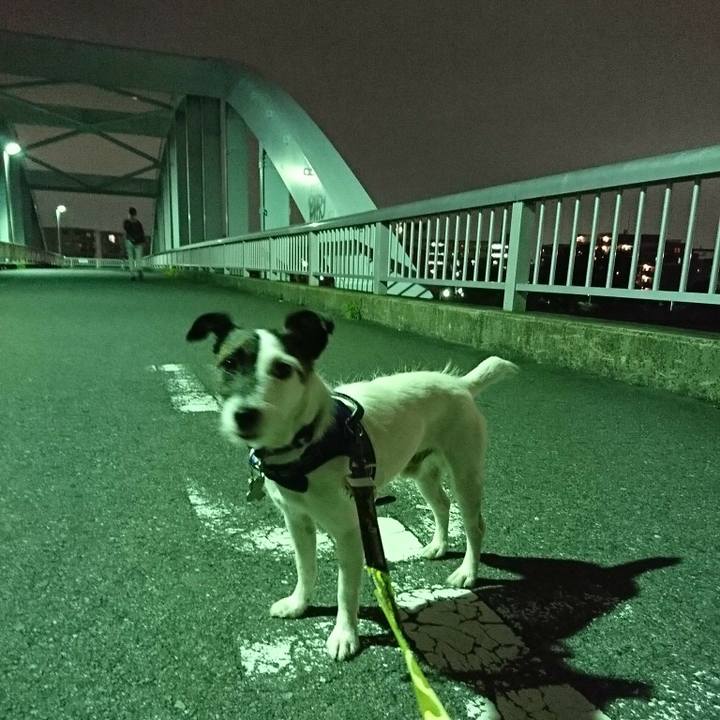 1292f55d 1ecb 4b35 8b2f 2df7e8ff1a37