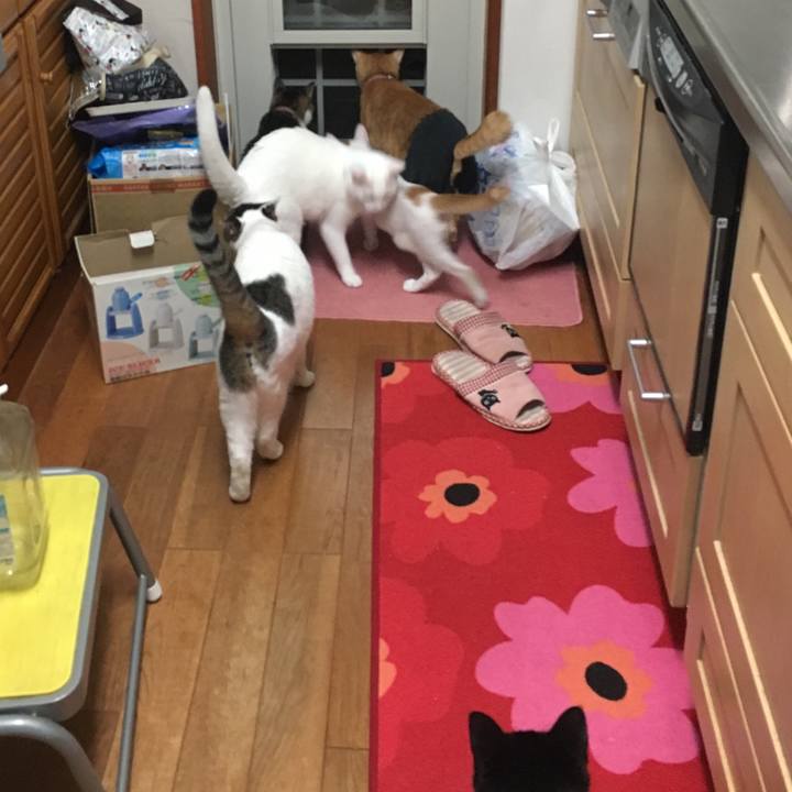 1293052f 1634 4995 9f98 d848d8e52325