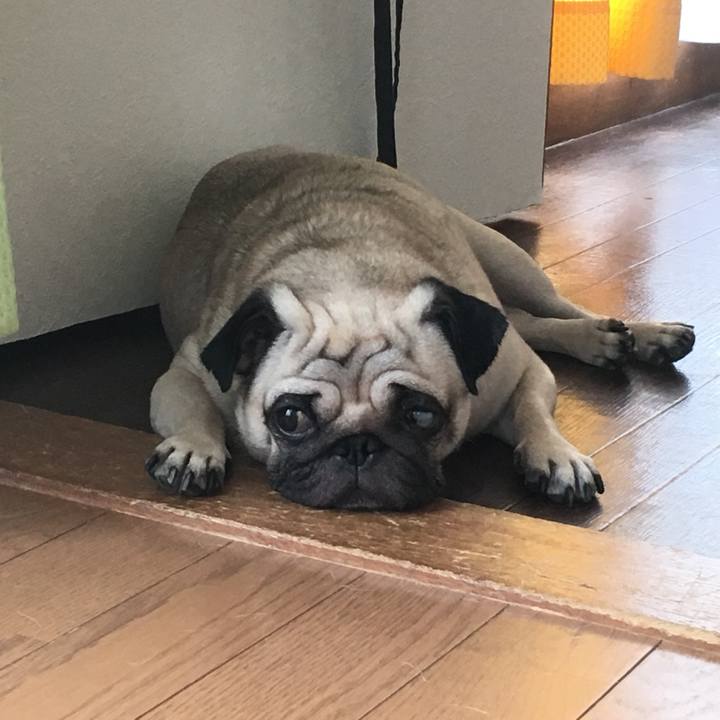 12934d28 6ac1 461f a20c 9a11381412bd