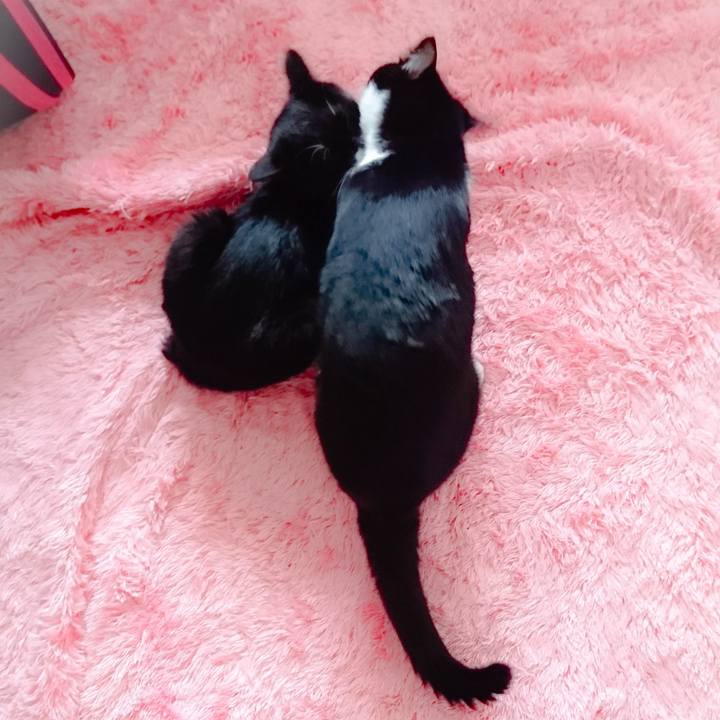 12947204 3cc4 4502 8b26 65270e04c750