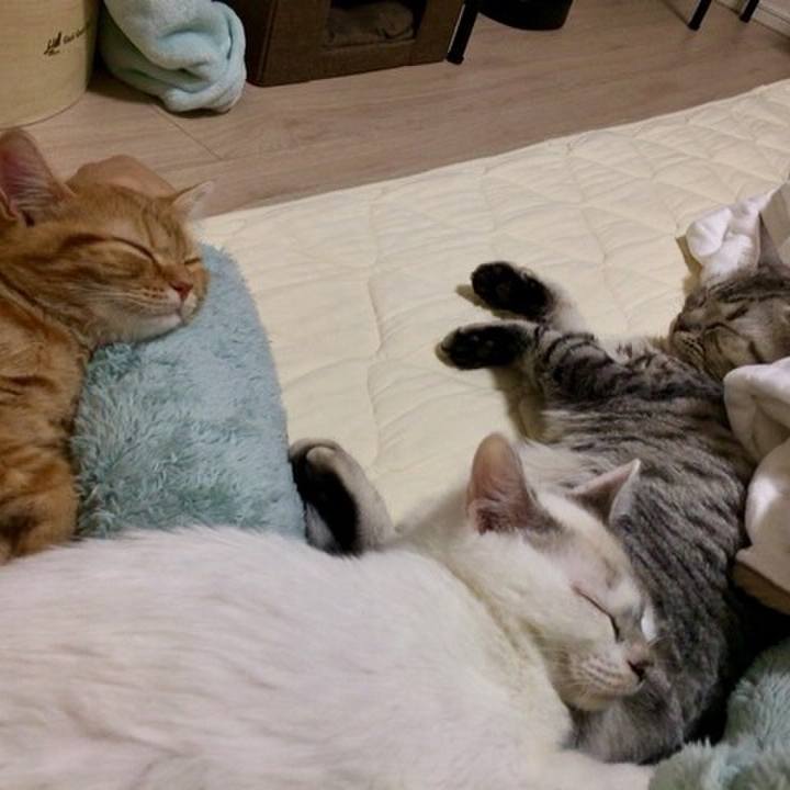 129495ab 6932 43d6 9679 8c5bdfec74c0