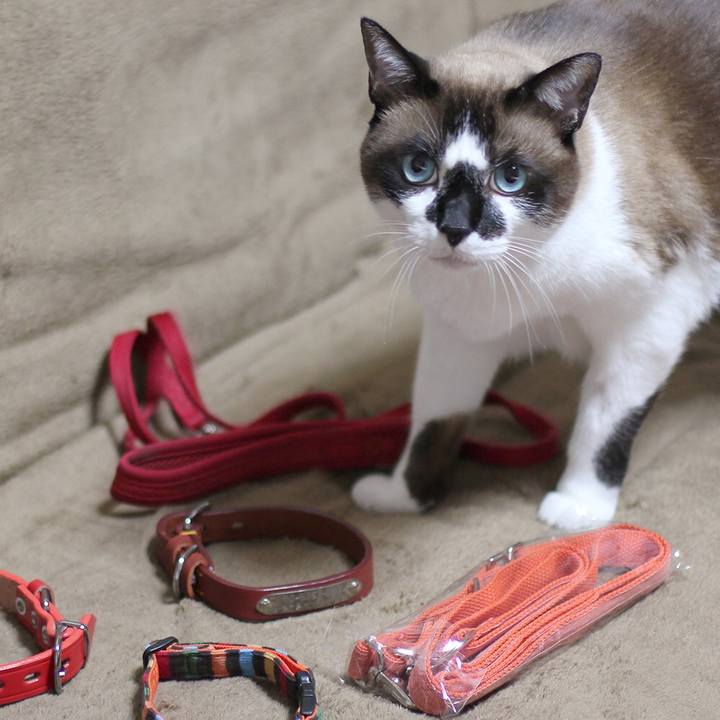 1294dedb 864e 40d6 bfc6 742fef620365