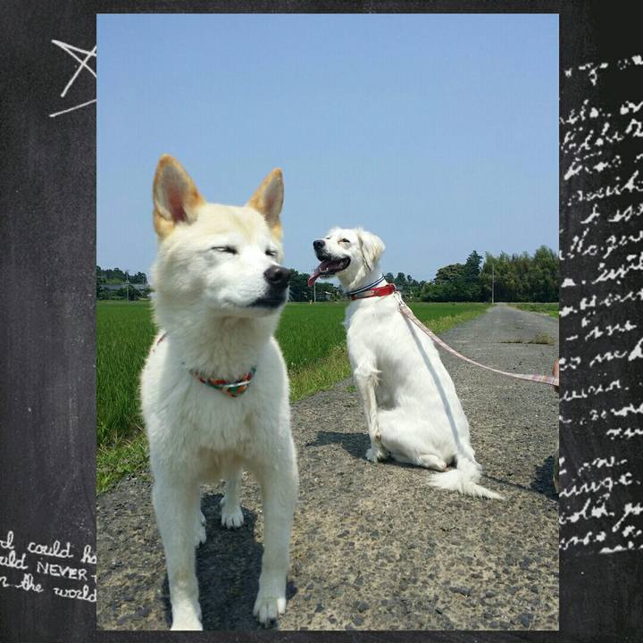 12952ccf fda8 457f b71c 2e1a28a9e183