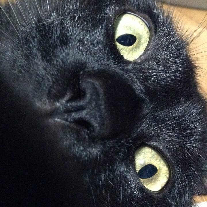 1295c7a2 07dd 457b a966 ef5e0cf69fc5