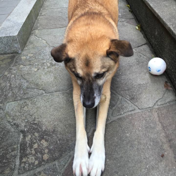 1296199c 2aab 440d 86f1 eacb877aa9ff