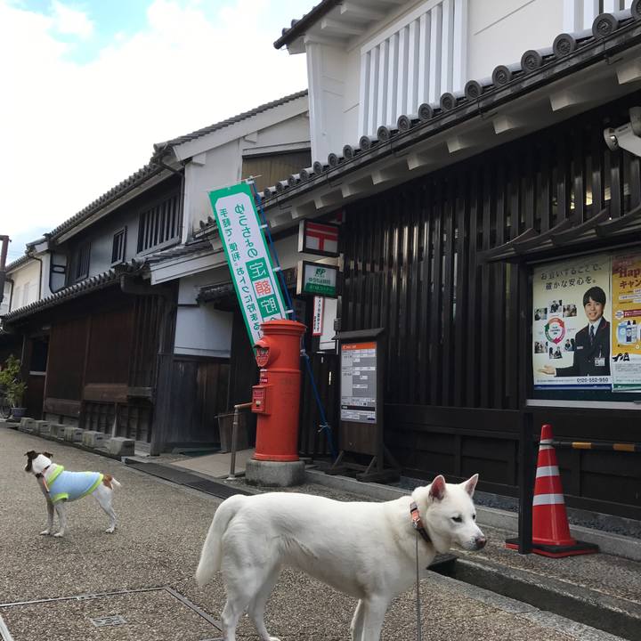 12961c05 4cdd 4f3a 9da2 dfab9c34c447