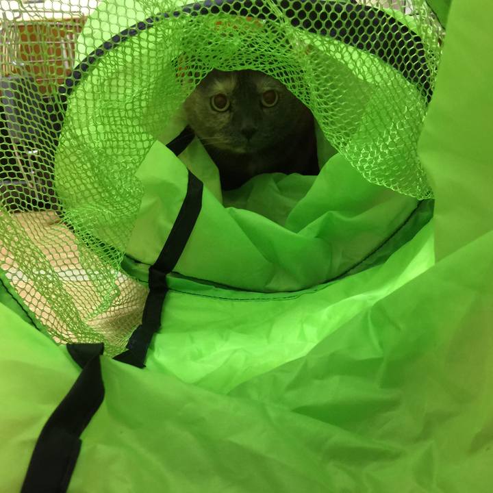 12973ebd 3d66 48f8 b681 f5da2c6bc527