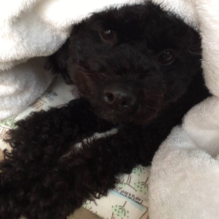 1297d6a6 3672 4fea a7a4 cc57cef6e0ac