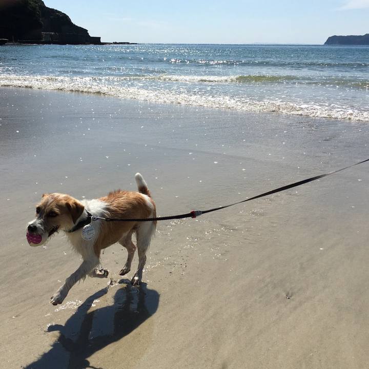 12983a7c 02a0 4cd9 a41a d2399c00c23c