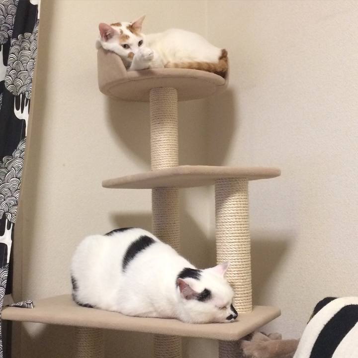 12986d86 6434 4171 a43f a4fccbc1fc07