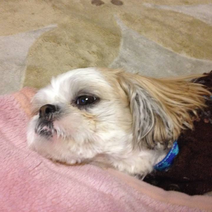 1298c092 6089 4027 94d8 d41642e31c5a