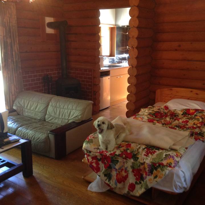 12993023 007d 4827 a978 9aa5bcde31ae