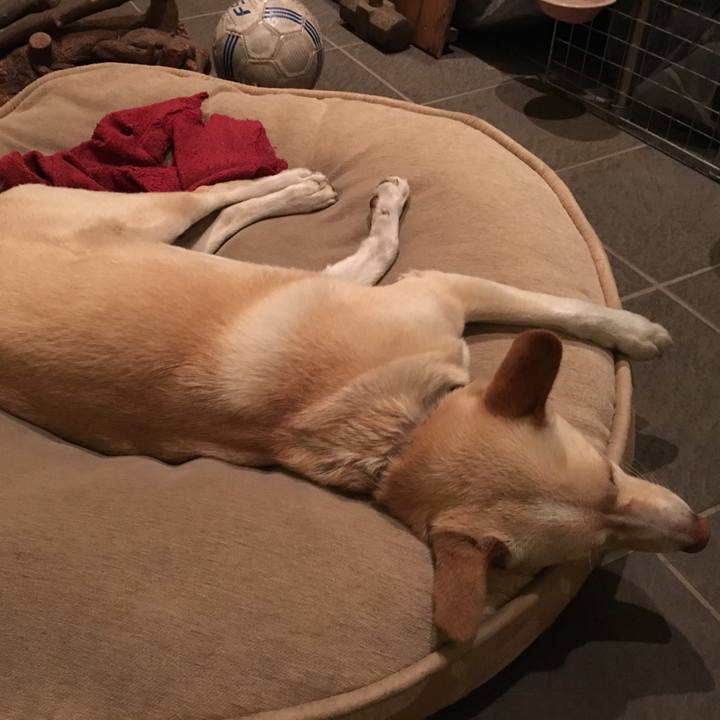 12993400 bf32 4153 9d0f b768db53edfe