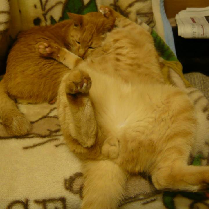 1299449f 66dd 49b0 83c9 2df4710d7d7b