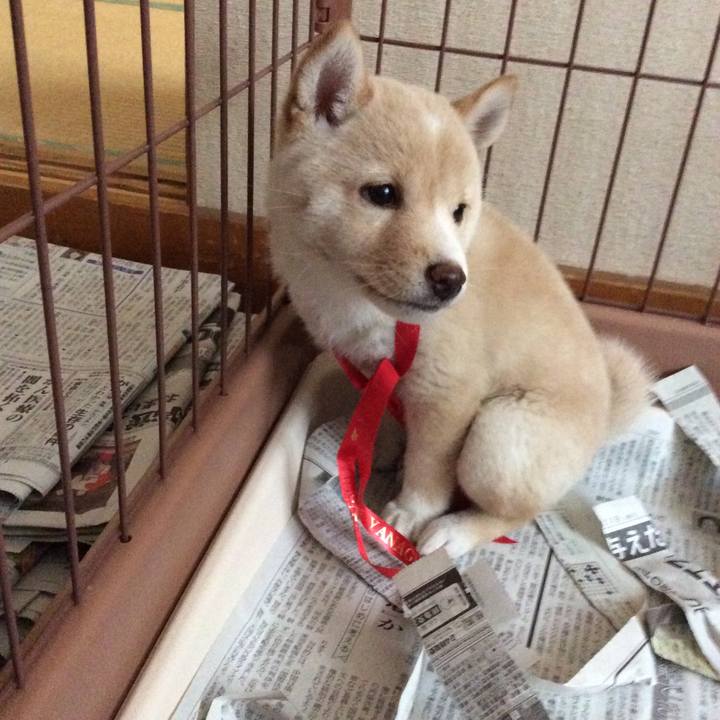 129a712c b162 4f28 85d3 d9a7c9cd642f