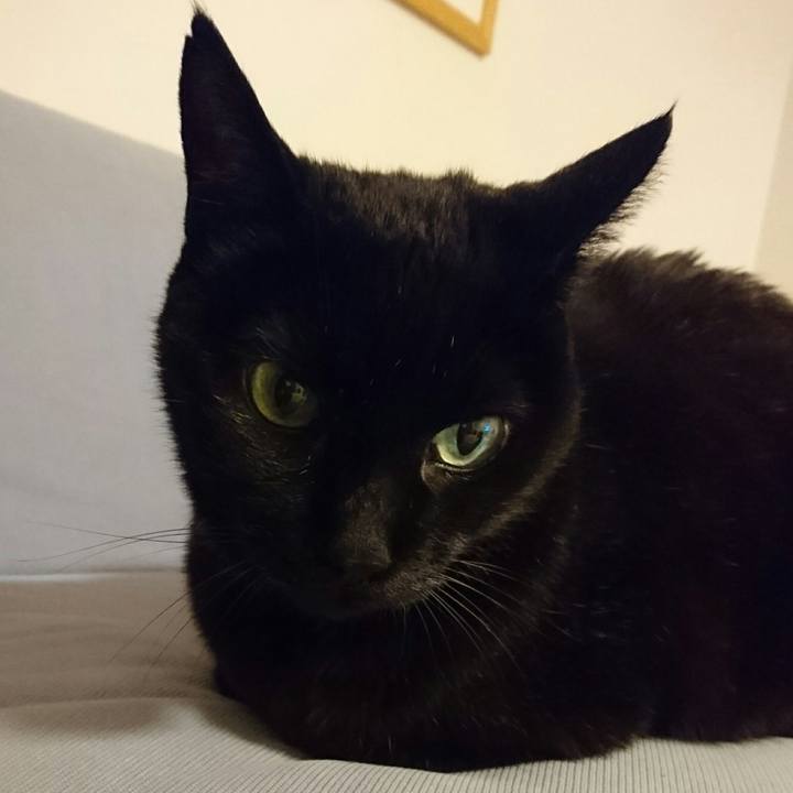 129bc81b 156f 4e73 b4a2 70f72d8d93b0