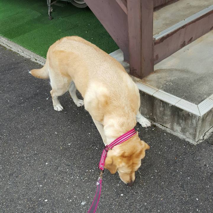 129be794 63d6 41e0 b1f7 c518ec438b39