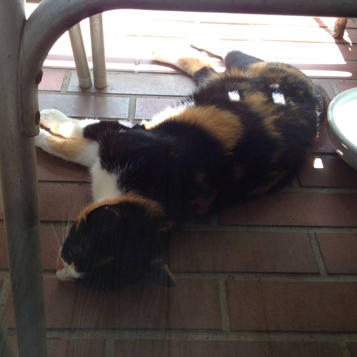 129c500c 8824 4654 bc92 c5d052b0827b