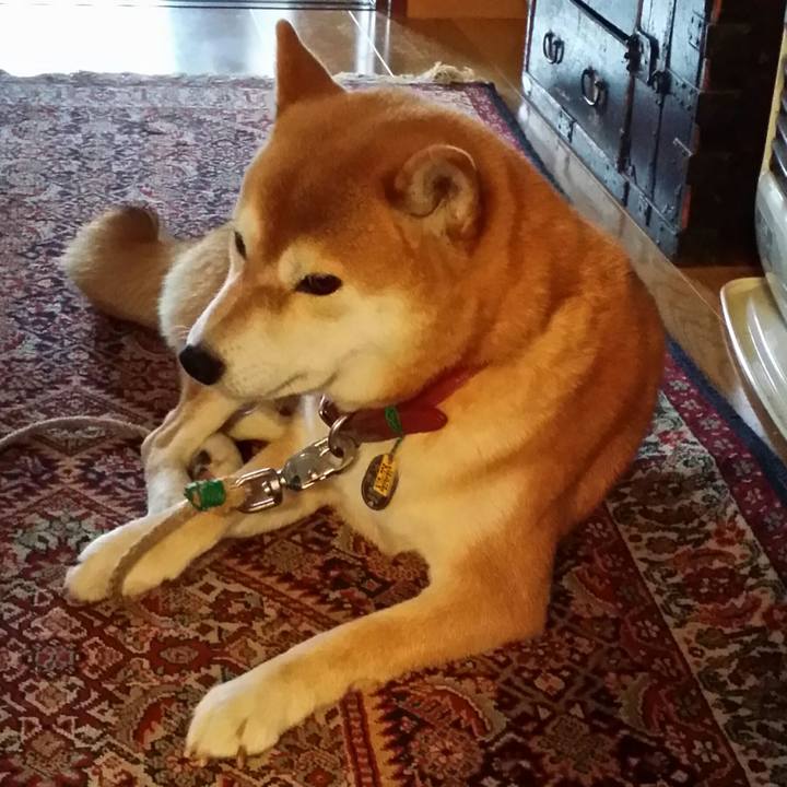 129c85f2 8ce2 4926 bc52 ed5b8989a70f