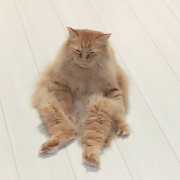 129cef33 d64d 4bf2 8ed5 b160893bc196