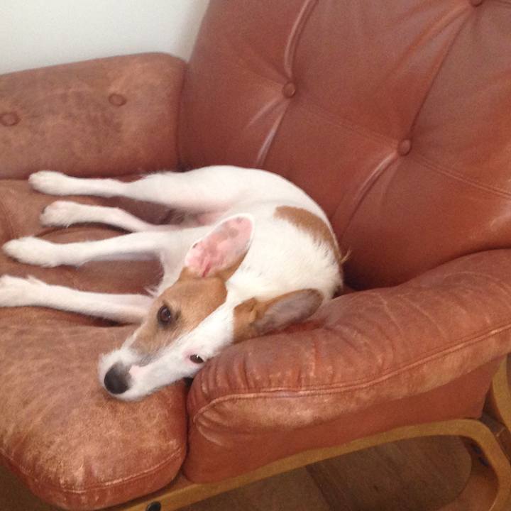 129d021e 0910 479b a491 f56541937fb5