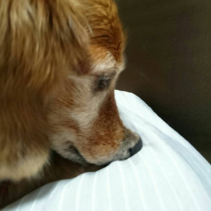 129d072e d407 4d3a 9e03 5fe368c59b04