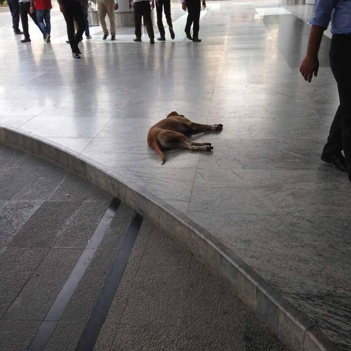 129d4e08 3580 4ead 9f43 1aa68af6607d