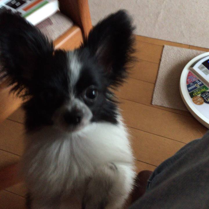 129d99c2 0ef9 4f17 86f4 3bb34ec0f8a0