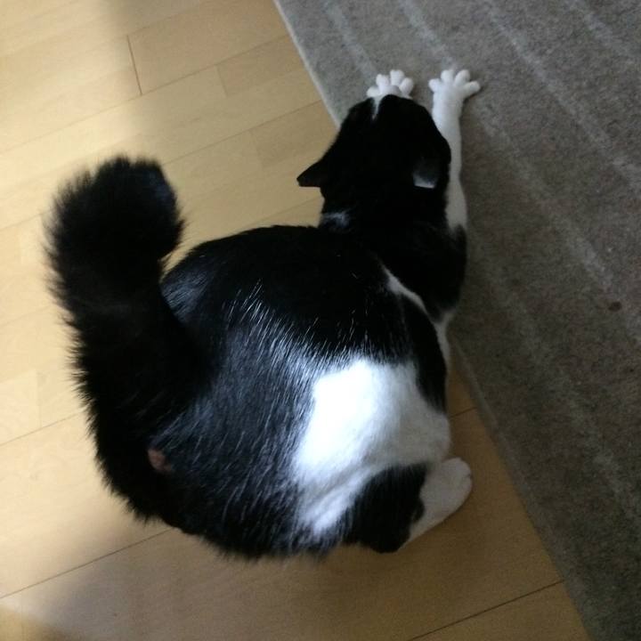 129de9b3 ae0c 4b00 9e75 576ea24e2e05