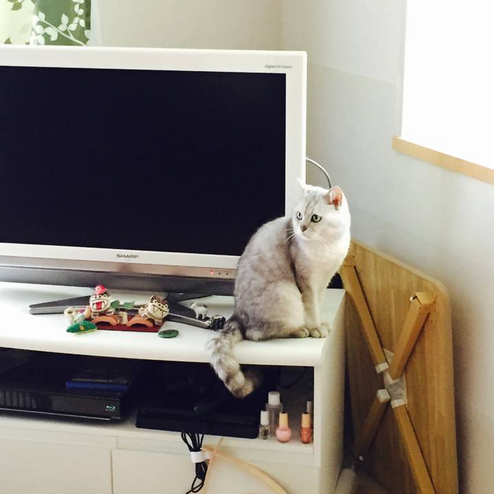 129e6581 8e65 4096 a428 bc6fab58f3fc