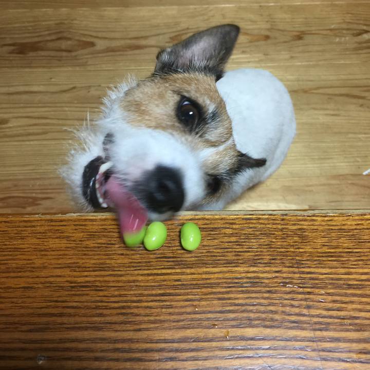 129f2601 10a9 4df2 a46e a28e00549cf9