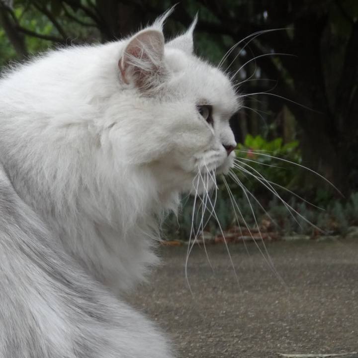 129f4e24 074a 47ed a5eb 86e5708b18e1