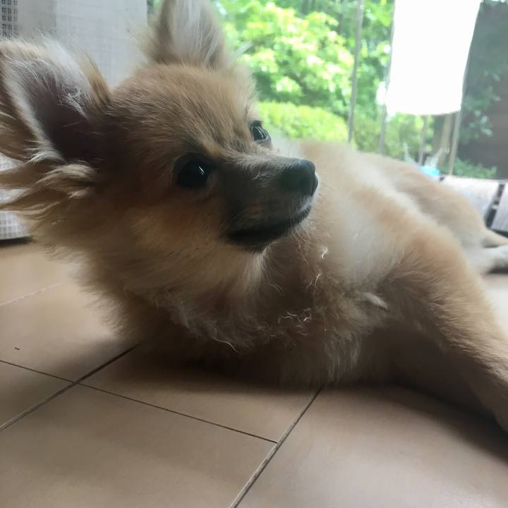 129f526f a5be 4089 847e 0bf776a72e29