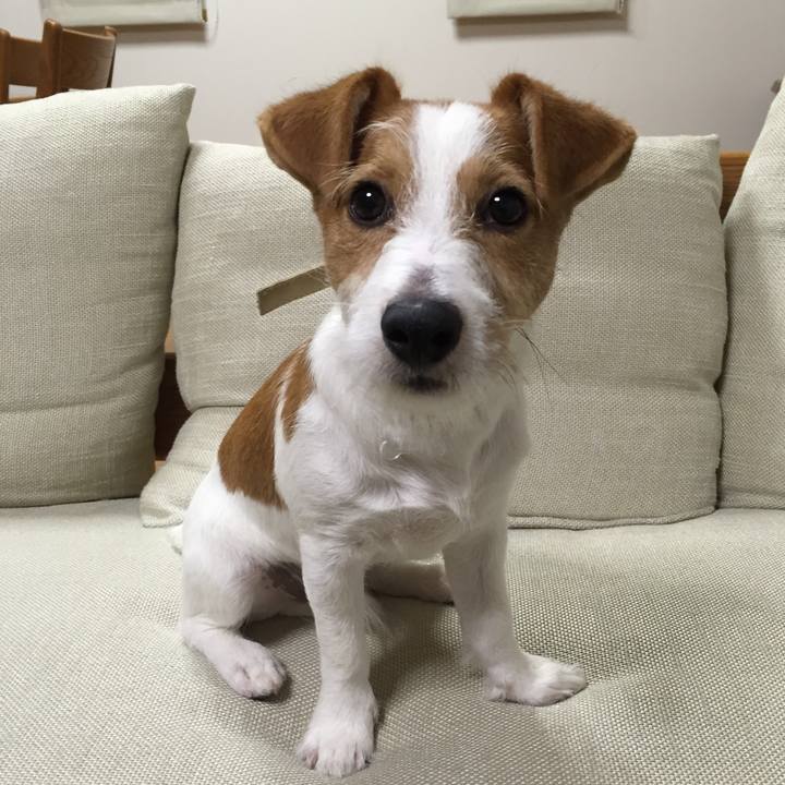 129fdb6f e393 4c17 b5a5 660589549cac