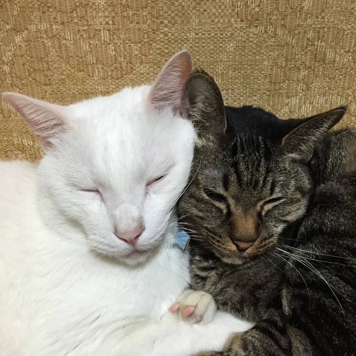 12a01566 d9be 477a 9d2d 920420805c8e