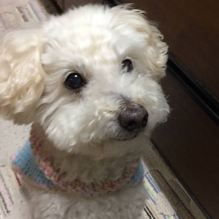 12a06ba9 5d0f 4231 af8a f939267aadd7