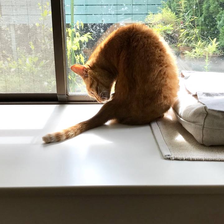 12a07d4c 5a3f 4b97 898e 6e949450b362