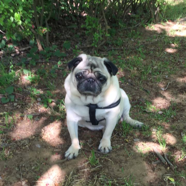 12a0c706 972c 498b 9c86 4403a7ccdec9