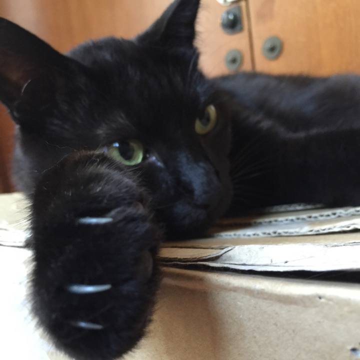 12a0d519 6883 46ab 9058 a204567c5677