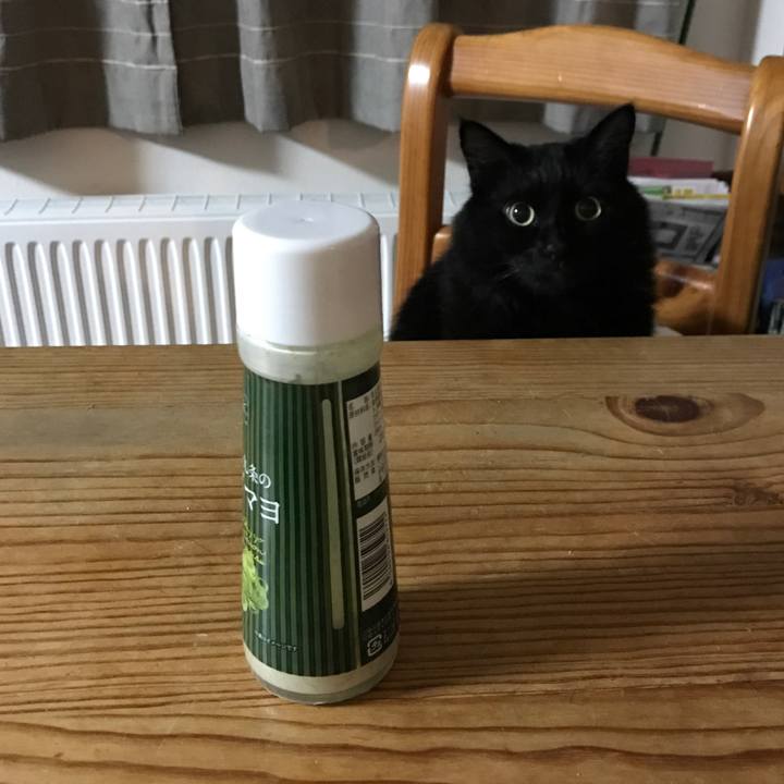 12a12eea 54b5 41cd aa35 4cca10ebe129