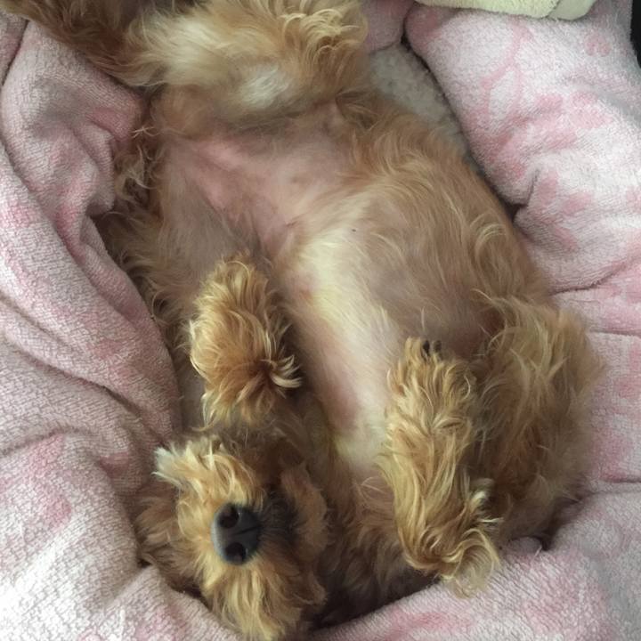 12a158e3 e1c1 4b2a 9c3f c94753b316ae