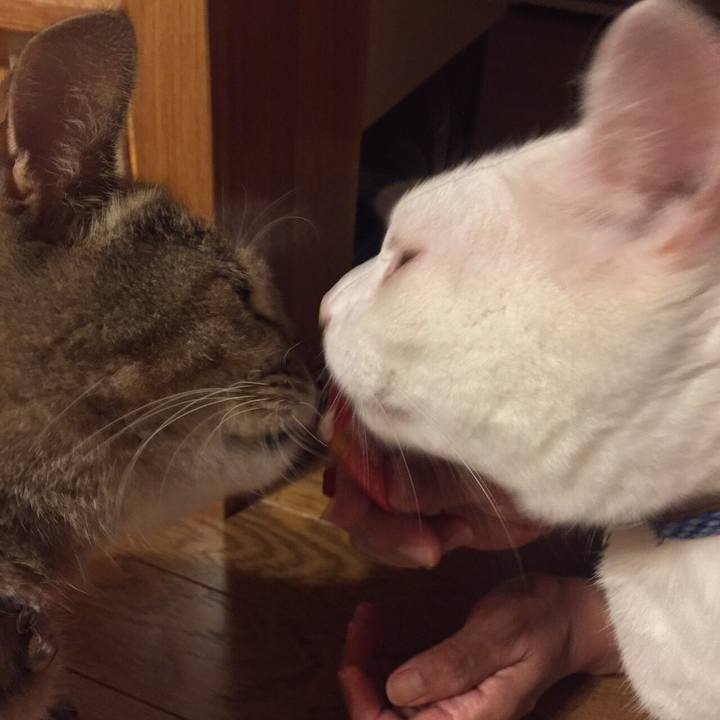 12a1c76e ae6e 479d 8ff0 ce7b7d167d32