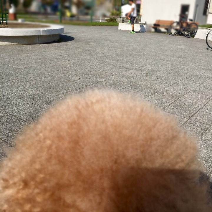 12a21613 ecdd 4b4d b806 d0659598fa62