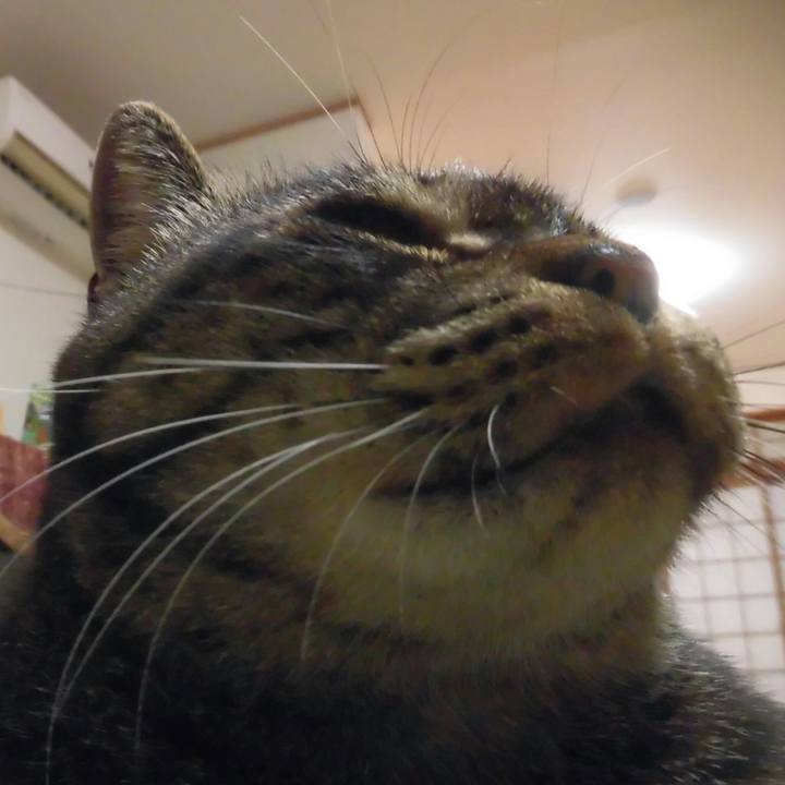 12a25a99 6253 4c39 98d7 21e05fa0eb8a